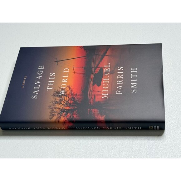 Salvage This World Michael Farris Smith Hardcover Literary Southern Fiction NEW - Picture 3 of 4